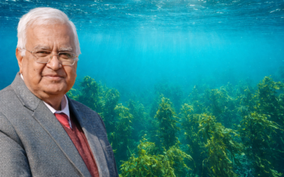 Seaweed Is Not a Weed: The Case for Calling It an Ocean Crop or Thalassocrop