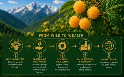India’s Goji Moment in the Making